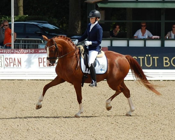 horse Riverbank Frabenfroh (Finnish Warmblood, 2010, from Fürst Fugger)