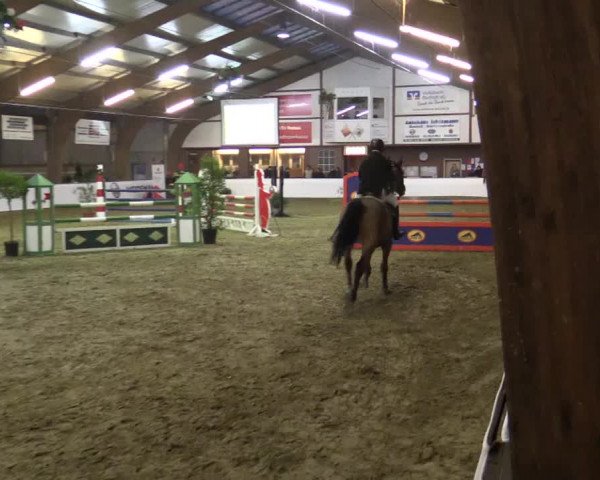 Reitturnier Barlo-Bocholt 2016