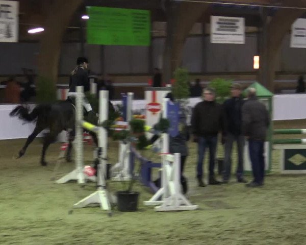 Reitturnier Barlo-Bocholt 2016