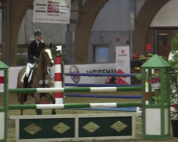 Reitturnier Barlo-Bocholt 2016
