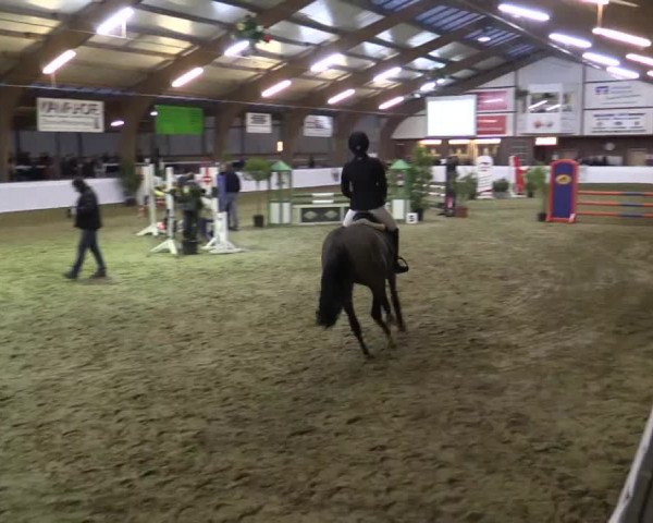 Reitturnier Barlo-Bocholt 2016