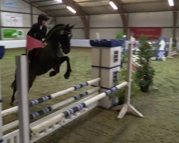 Reitturnier Barlo-Bocholt 2016
