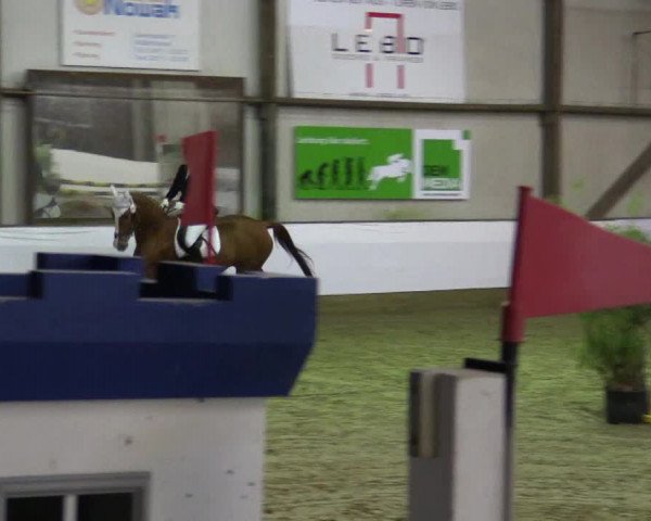 Reitturnier Barlo-Bocholt 2016