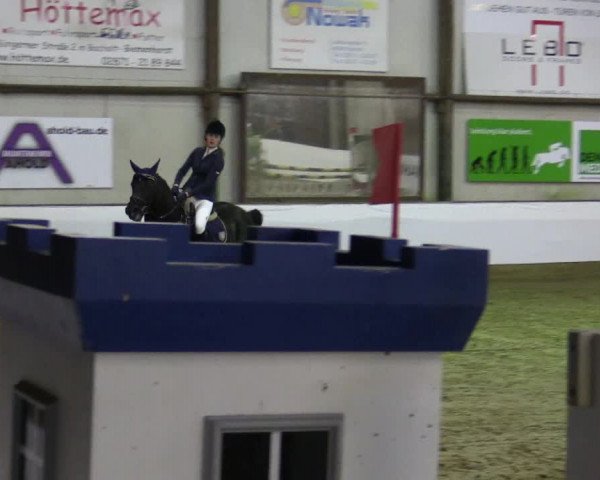 Reitturnier Barlo-Bocholt 2016