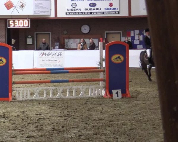 Reitturnier Barlo-Bocholt 2016