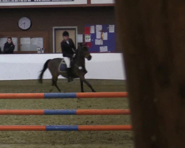 Reitturnier Barlo-Bocholt 2016