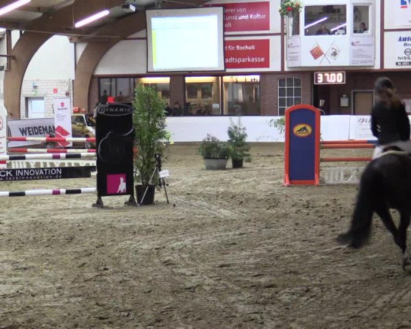 Reitturnier Barlo-Bocholt 2016