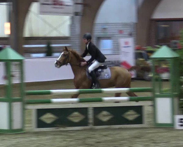 Reitturnier Barlo-Bocholt 2016