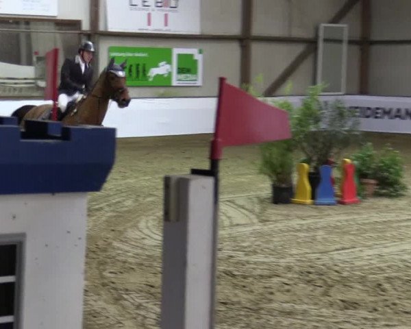 Reitturnier Barlo-Bocholt 2016