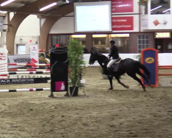 Reitturnier Barlo-Bocholt 2016