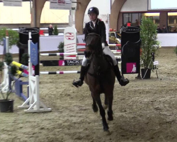 Reitturnier Barlo-Bocholt 2016