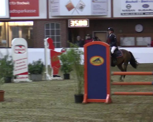 Reitturnier Barlo-Bocholt 2016