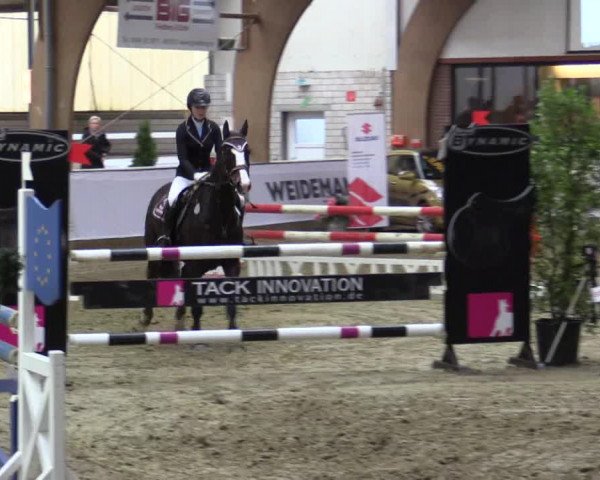 Reitturnier Barlo-Bocholt 2016