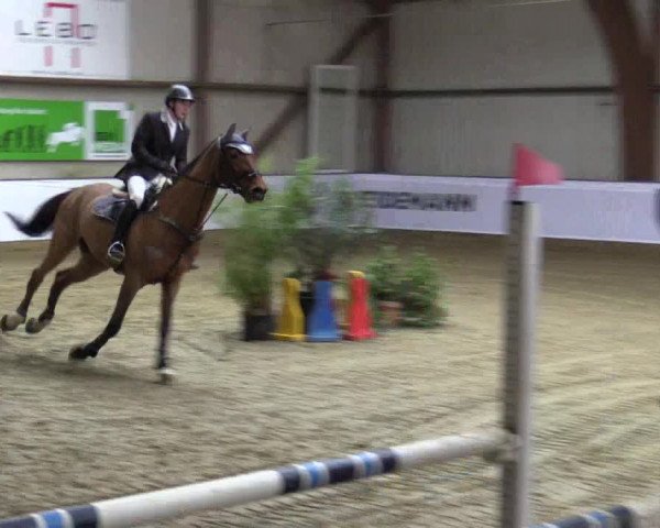 Reitturnier Barlo-Bocholt 2016