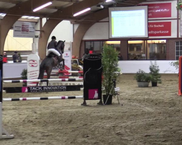 Reitturnier Barlo-Bocholt 2016