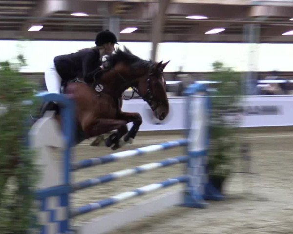 Reitturnier Barlo-Bocholt 2016