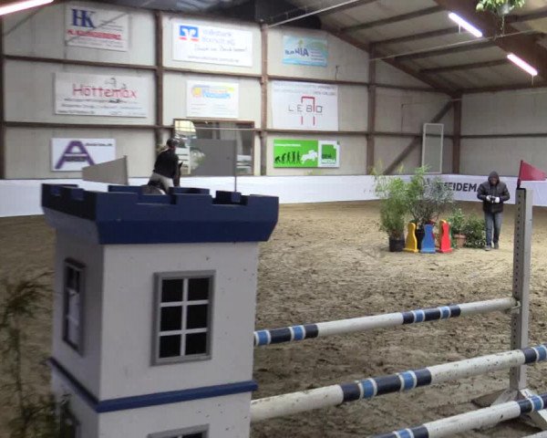 Reitturnier Barlo-Bocholt 2016