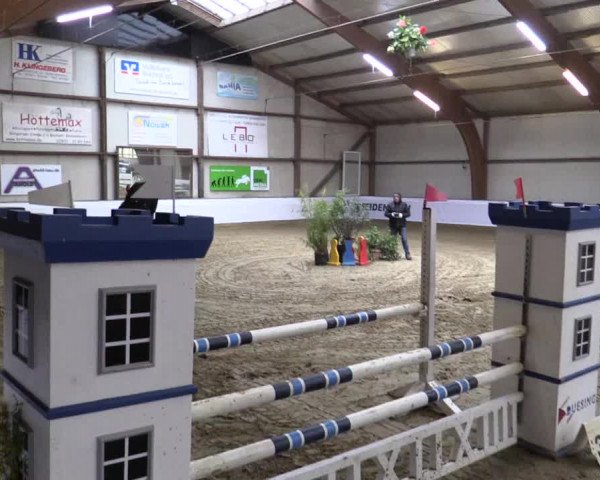 Reitturnier Barlo-Bocholt 2016