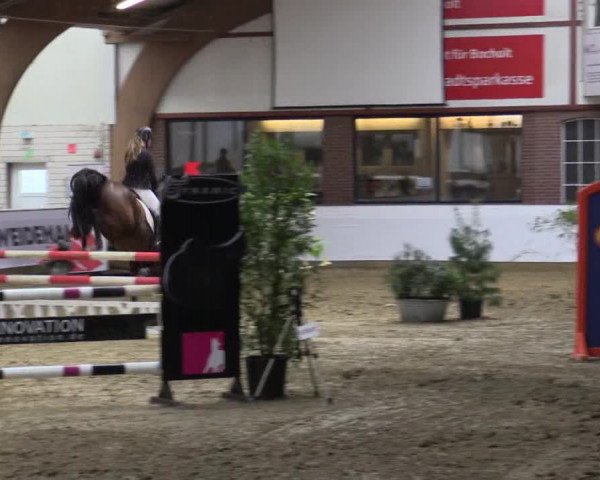 Reitturnier Barlo-Bocholt 2016