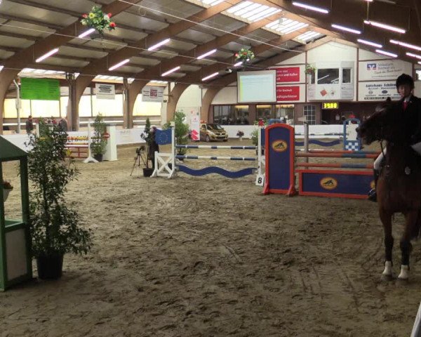 Reitturnier Barlo-Bocholt 2016