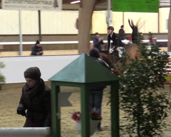 Reitturnier Barlo-Bocholt 2016