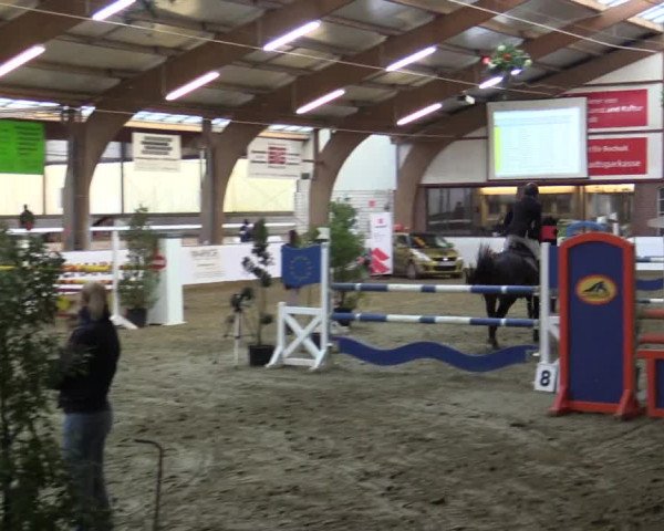 Reitturnier Barlo-Bocholt 2016