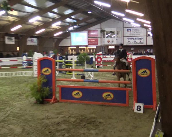 Reitturnier Barlo-Bocholt 2016