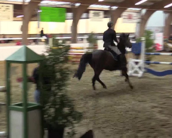 Reitturnier Barlo-Bocholt 2016