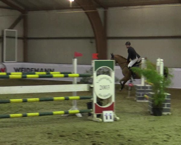 Reitturnier Barlo-Bocholt 2016