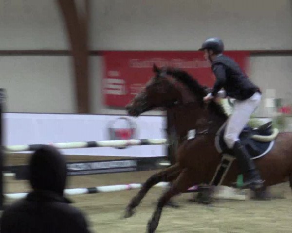 Reitturnier Barlo-Bocholt 2016