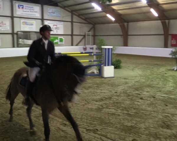Reitturnier Barlo-Bocholt 2016