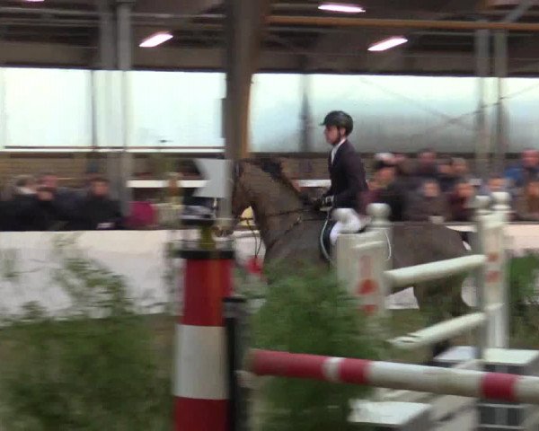 Reitturnier Barlo-Bocholt 2016