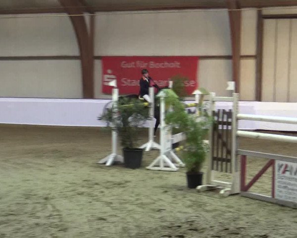 Reitturnier Barlo-Bocholt 2016