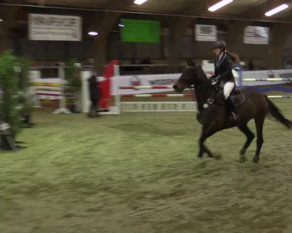 Reitturnier Barlo-Bocholt 2016