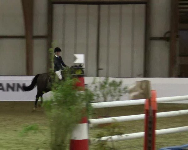 Reitturnier Barlo-Bocholt 2016