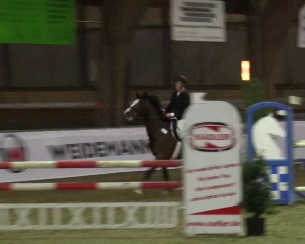 Reitturnier Barlo-Bocholt 2016