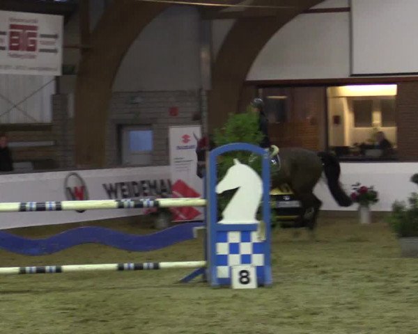 Reitturnier Barlo-Bocholt 2016