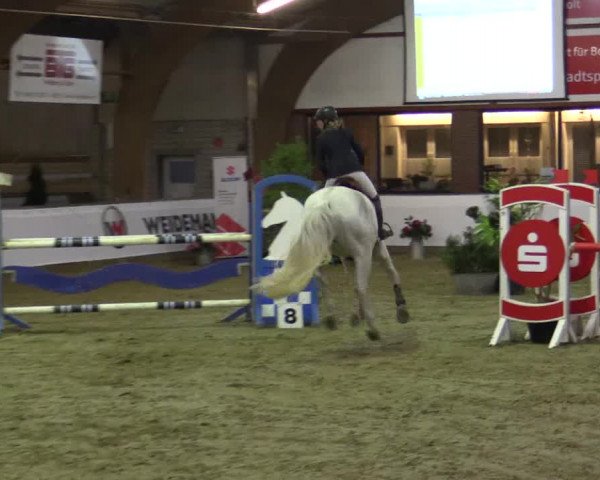 Reitturnier Barlo-Bocholt 2016