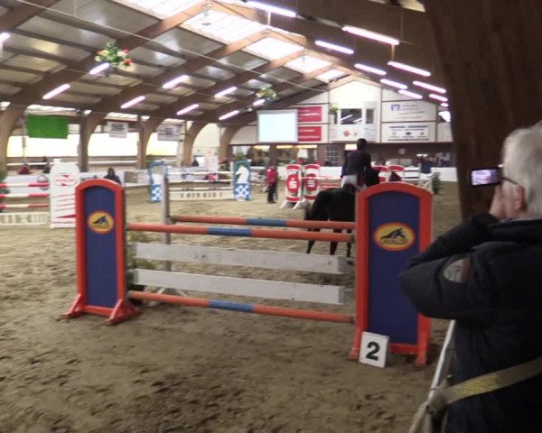 Reitturnier Barlo-Bocholt 2016
