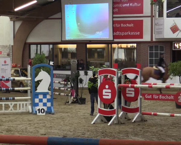 Reitturnier Barlo-Bocholt 2016