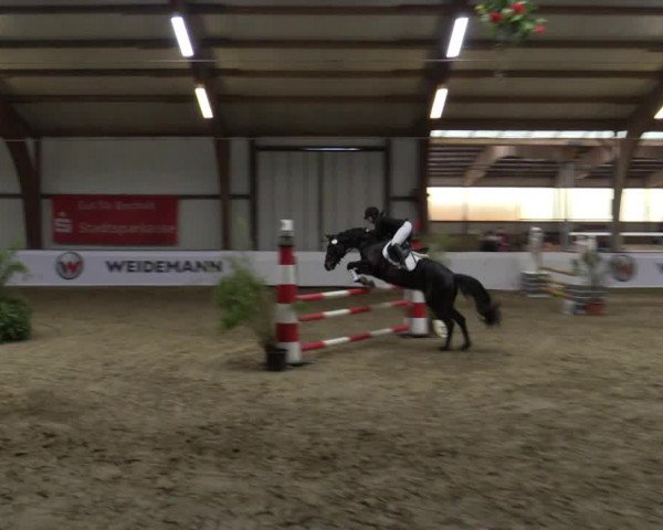 Reitturnier Barlo-Bocholt 2016