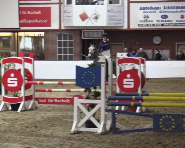 Reitturnier Barlo-Bocholt 2016