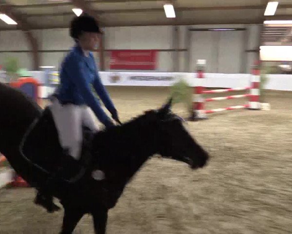Reitturnier Barlo-Bocholt 2016