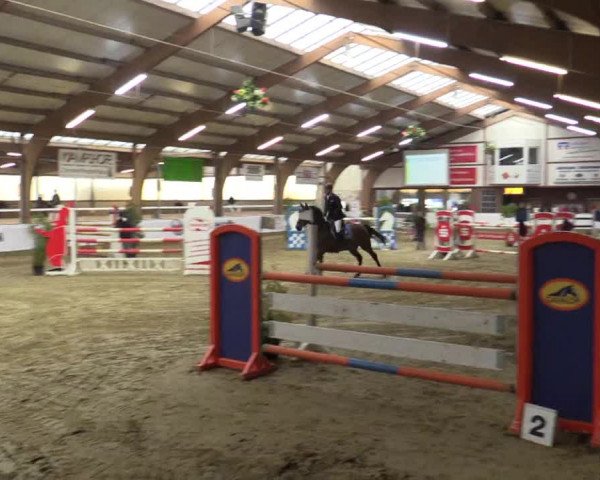 Reitturnier Barlo-Bocholt 2016