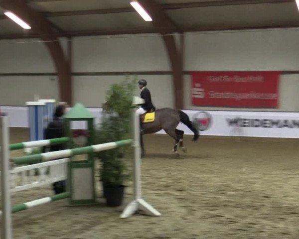 Reitturnier Barlo-Bocholt 2016