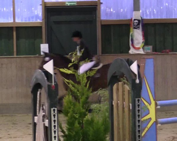 Reitturnier Velen 2016