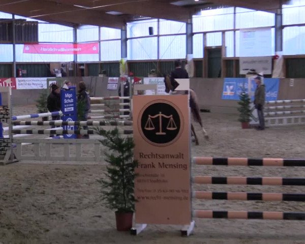 Reitturnier Velen 2016