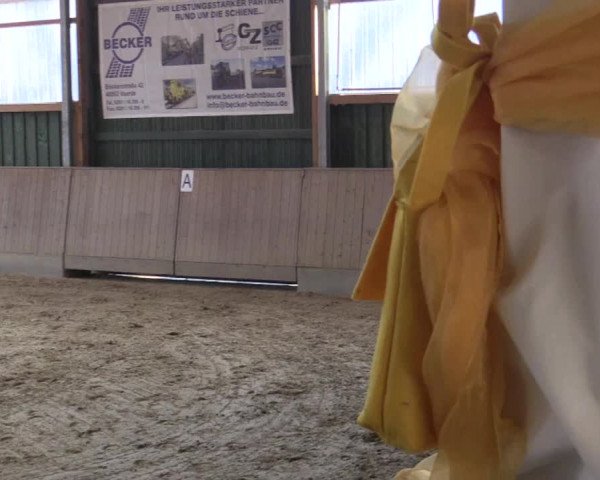 Reitturnier Velen 2016