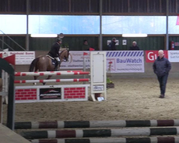 Reitturnier Velen 2016