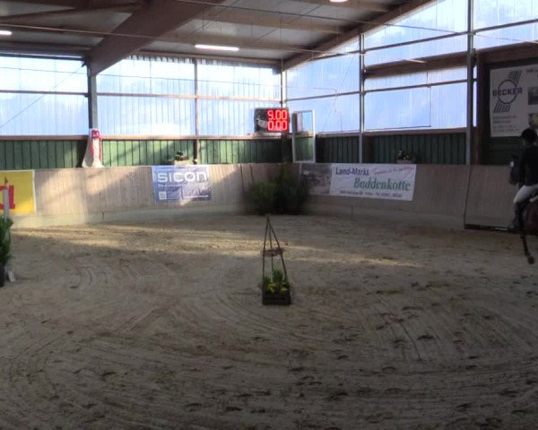 Reitturnier Velen 2016